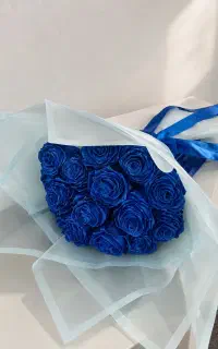 مداد رنگی