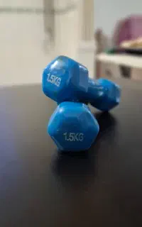 دمبل ۱.۵ کیلویی ، نو و سالم