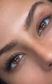 لطفا متن و مطالعه کنید