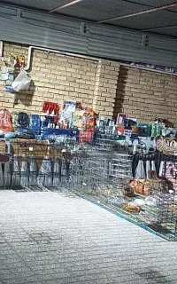 سبد بافی وملزومات سبدبافی با آموزش رایگان