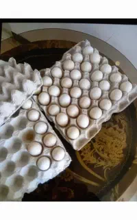 تخم مرغ گلین اصیل فول