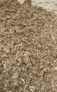 فروش کودمرغ تخمی
