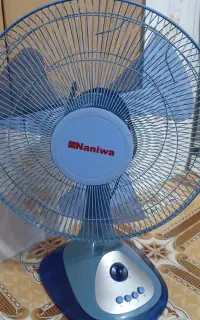 پنکه