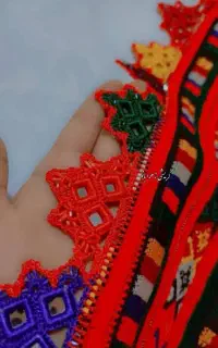 کریشی سلین