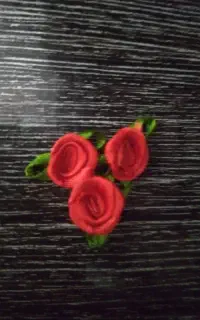 گل رز