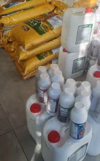 میخوای زعفران ،گندم ،زیاد برداشت کنی