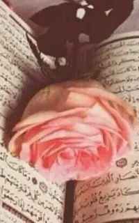 فال و سرکتاب