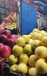 حق العمل کاری بلندنظر واقع در میدان تره بار اهواز