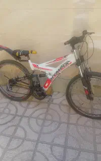 یک عددچرخ