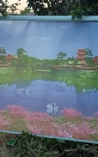 پرده زبرا