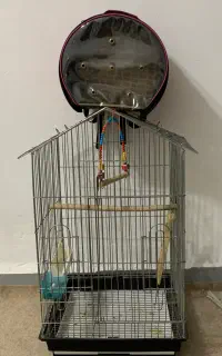 قفس و کوله پرنده