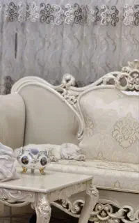 گربه اسکاتیش پرشین