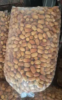 خرمای خرک با بهترین کیفیت