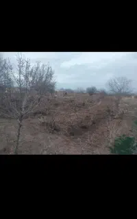 کاریگر ساده