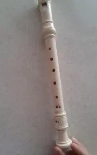 ریکوردر(فولوت )وتنبک