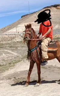 نریان