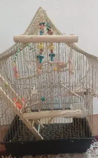 قفس پرنده