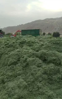 کاه پرس یونجه و سفید