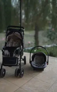 کالسکه و کریر