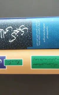 کتاب نظامی گنجوی (دو جلدی)