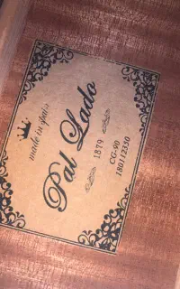 گیتار پالادوCG90