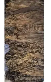 موی بلند بانوان