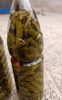 خیارشور نیشابور