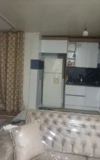 نظافتچی خانم