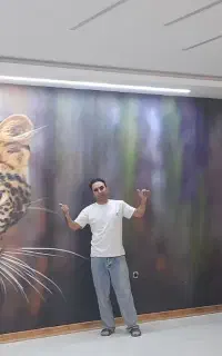 نصب کاغذ دیواری و پوستر سه بعدی