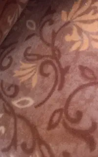 موکت