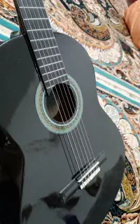 گیتار حرفه ای