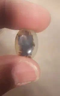 سنگ شجر