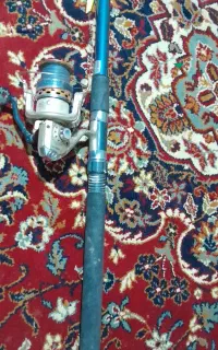 لنسر ماهیگیری