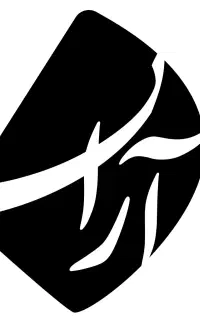 جذب کارآموز حسابداری (پروژه عملی)