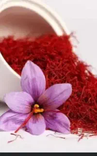 حراج ویژه
