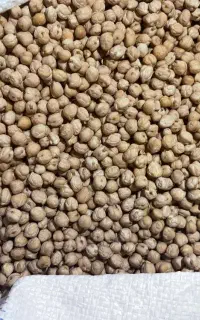 نخود ابگوشتی
