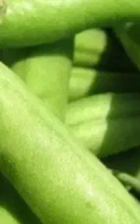 لوبیا سبز تازه