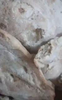 نان خشک گوسفندی
