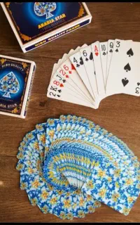 پاسور چندین مدل ورق برای کارت بازی پاستور