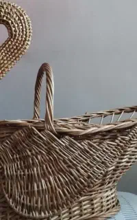 میوه خوری قو حصیری