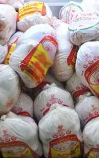 ضایعات مرغ پوست و چربی
