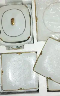 سرویس چینی پردیس