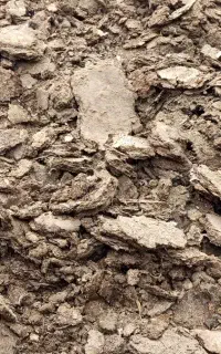 کود مرغی گوشتی سالنی