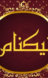 استخدام راننده توزیع در مجموعه معتبر