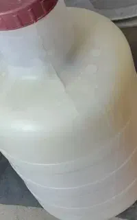 دوغ ترخینه محلی گوسفندی