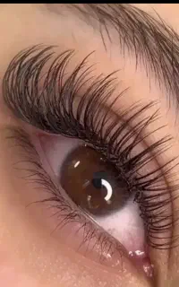 اموزش مژه با مدرک فقط سه تومن قسطی