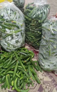 خیار قلمی