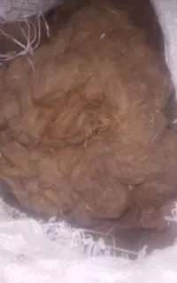 پشم