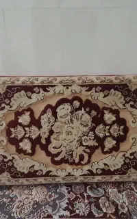 دو جفت پشتی