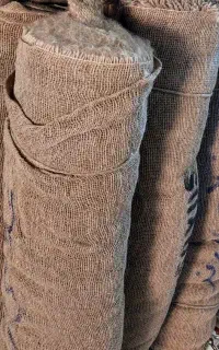 گونی کنفی